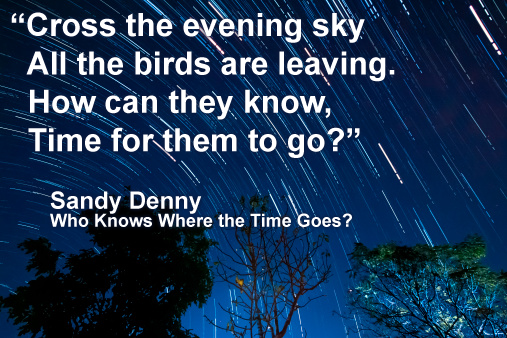 “Cross the evening sky All the birds are leaving. How can they know, Time for them to go?” Sandy Denny Who Knows Where the Time Goes?